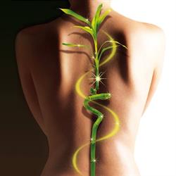 Chiropractie4life, Rug- en Nekcentrum, Apeldoorn openingstijden