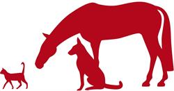Dierenkliniek Rijnoever, Alphen aan den Rijn openingstijden