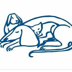 Dierenkliniek Nootdorp, openingstijden