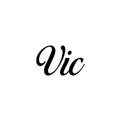 Vic, Groningen openingstijden