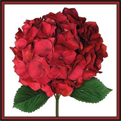 Hortensia Kwekerij **andriesia**, Zoelen openingstijden