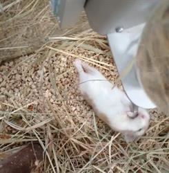 Dierenspeciaalzaak Zagers, St. Willebrord openingstijden