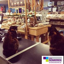 Van Someren Dierenwereld, Heemskerk openingstijden