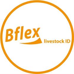 Bflex Bv, Enschede openingstijden