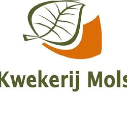Vof. Kwekerij Mols, Moergestel openingstijden