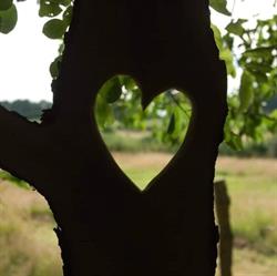 Knoest, Afferden L openingstijden
