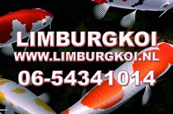 Limburg Koi, Echt openingstijden