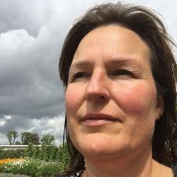 Triskelion Advies, Dordrecht openingstijden