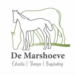 De Marshoeve, Dalmsholte openingstijden