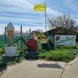 Landwinkel en akkerbouwbedrijf 't Zand, Den Bommel openingstijden
