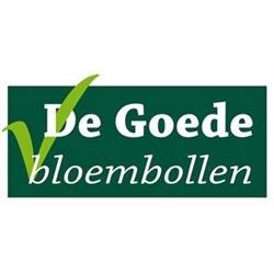 de Goede Bloembollen, Breezand openingstijden