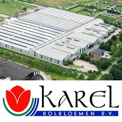 Karel Bolbloemen Bv, Bovenkarspel openingstijden