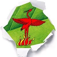 Scouting Phoenix Tiel ?, openingstijden
