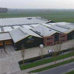 Pronk Tulpen Bv, Avenhorn openingstijden