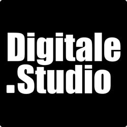 Digitale Studio Gelijsteen, Leusden openingstijden