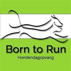 Born to Run, America openingstijden