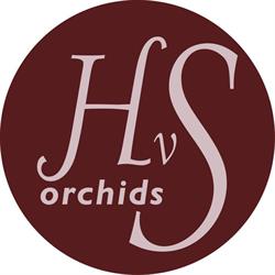 HVS orchids, Pijnacker openingstijden