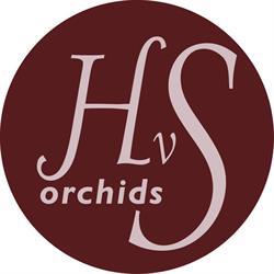 HVS orchids, Pijnacker openingstijden