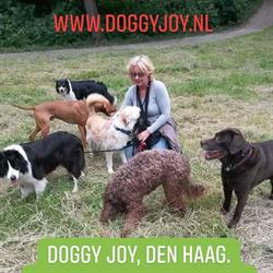 Hondenuitlaatservice Doggy Joy, 's-Gravenhage openingstijden