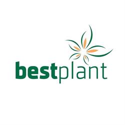 Bestplant, Poeldijk openingstijden