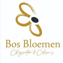 Bos Bloemen, 's-Gravenzande openingstijden