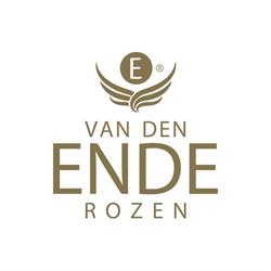 Fa. Van den Ende Rozen, Monster openingstijden