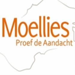 Moellies, Dronten openingstijden