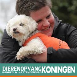 Dierenopvang Koningen, Balkbrug openingstijden