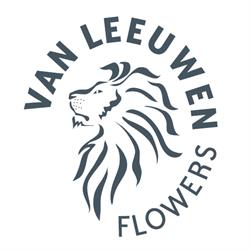 Chrysantenkwekerij Peet Van Leeuwen Bv, Poeldijk openingstijden