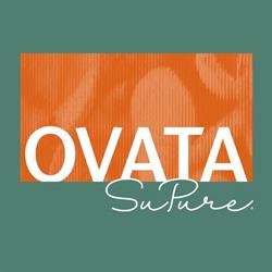 OVATA BV, Bleiswijk openingstijden