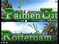 Palmen Uit Rotterdam, openingstijden