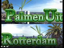 Palmen Uit Rotterdam, openingstijden