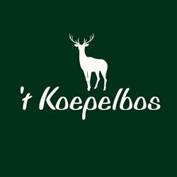 Snackbar 't Koepelbos, Oldeberkoop openingstijden