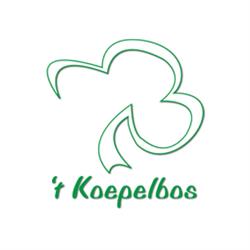 Snackbar 't Koepelbos, Oldeberkoop openingstijden