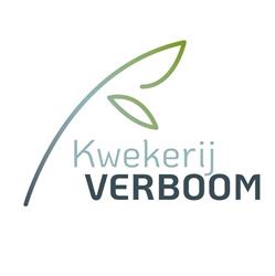 Kwekerij Verboom BV, Zevenhuizen openingstijden