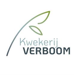Kwekerij Verboom BV, Zevenhuizen openingstijden