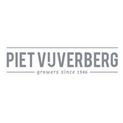 Kwekerij Piet Vijverberg Bv, Monster openingstijden