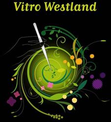 Vitro Westland Bv, Rijswijk openingstijden