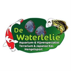 De Waterlelie - Aquarium- & vijverspecialist, terrarium, japanse koi, zeewater & hengelsport, Enschede openingstijden