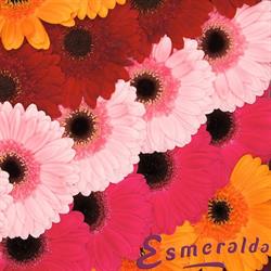 Kwekerij Esmeralda Bv, Rijnsburg openingstijden
