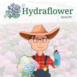 Hydraflower, Nieuwveen openingstijden