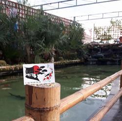 Koi-Kas, Monster openingstijden