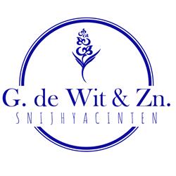 G. de Wit en Zonen, Lisse openingstijden
