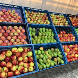 Sous Markt, Beek openingstijden