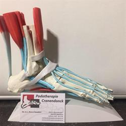 Podotherapie Cranendonck, Maarheeze openingstijden
