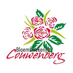 Couwenberg V.o.f., Knegsel openingstijden