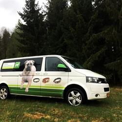 Dierenspeciaalshop, Monster openingstijden