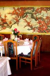 De Chinese Muur, Alphen aan den Rijn openingstijden