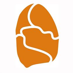 Sidestone Press, Leiden openingstijden