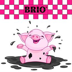 Brio Bv, Zeegse openingstijden